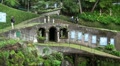 Tropical Garden with People 20110422 165726 Video