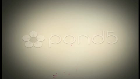 After Effects Project - Pond5 Ink Drops 7730276 After Effects Project - Pond5 Ink Drops 7730276