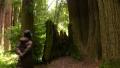 video clip 8022025