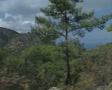 video clip 8083197
