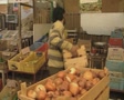 video clip 8093093