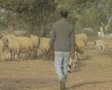 video clip 8106531