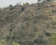video clip 8111883