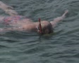 Man snorkels in the sea Video