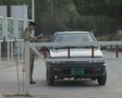 video clip 8144043