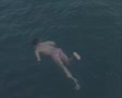 video clip 8145859