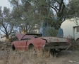 video clip 8156145