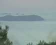 video clip 8358421