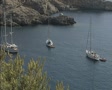 video clip 8359485