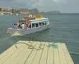 video clip 8360539
