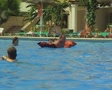 video clip 8364157