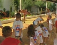 video clip 8365977