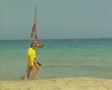 video clip 8366977