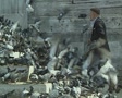video clip 8404399