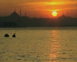 video clip 8432079