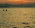 video clip 8438987