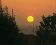 video clip 8446769