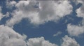 video clip 8507161