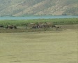 video clip 8520273