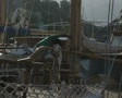 video clip 8523057