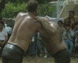 video clip 8523405