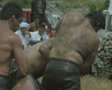 video clip 8523483