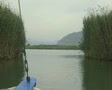 video clip 8524447