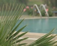 video clip 8524565