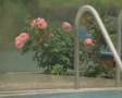 video clip 8524619