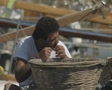 video clip 8524823