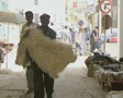 video clip 8525055