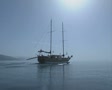 video clip 8528413