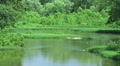 video clip 8563837