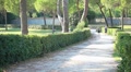 video clip 8567669