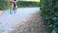 video clip 8568055