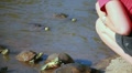 video clip 8568077