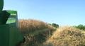 video clip 8572793