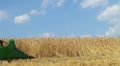 video clip 8599311
