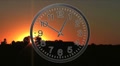 video clip 8600653