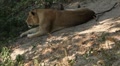 video clip 8607985