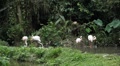 video clip 8640675