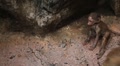 video clip 8645081