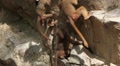 video clip 8646803