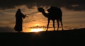 Camel in the sunset with man leading in the sahara desert sunset