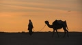 Walking through the sahara desert with a camel sunset