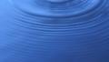 video clip 8664807