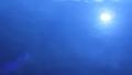 video clip 8665525