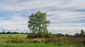 The beginning of autumn Video