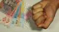 video clip 8680277