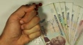 video clip 8681629